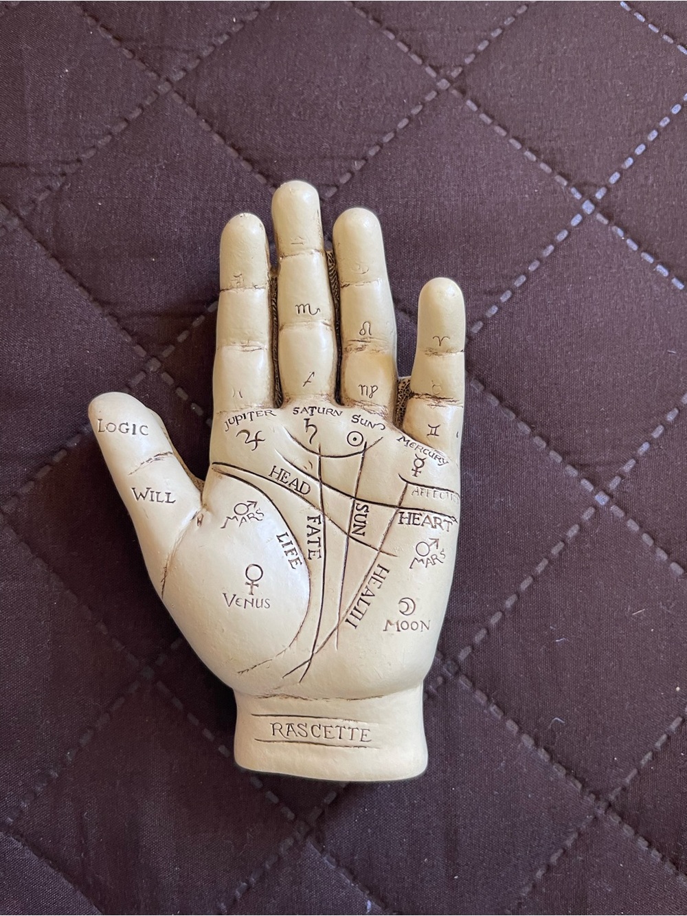 Palmistry Hand Model with Astrology Markings - Beige